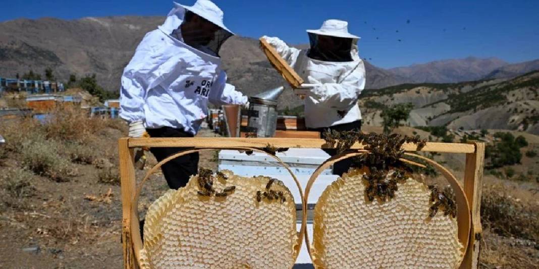 Şehirdeki kariyerini bıraktı, doğayla kazanmaya başladı: Ailesi en büyük yardımcısı: 3 yılda kazancını katladı! 6